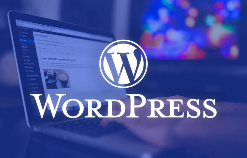 báo cáo wordpress