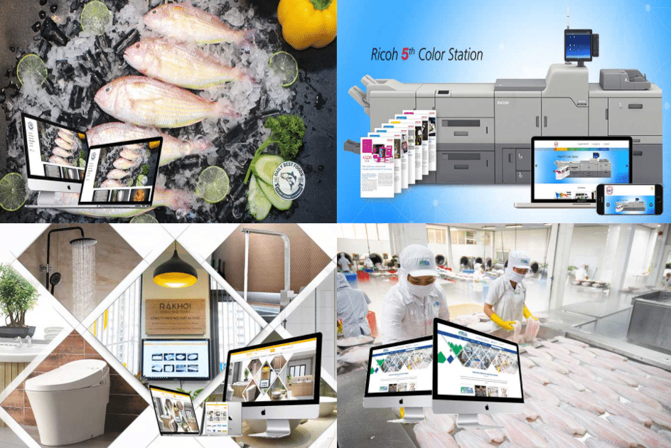 các lĩnh vực thiết kế web