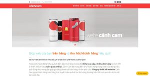 thiết kế website cánh cam